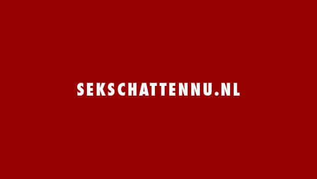 SeksChattenNu.nl logo